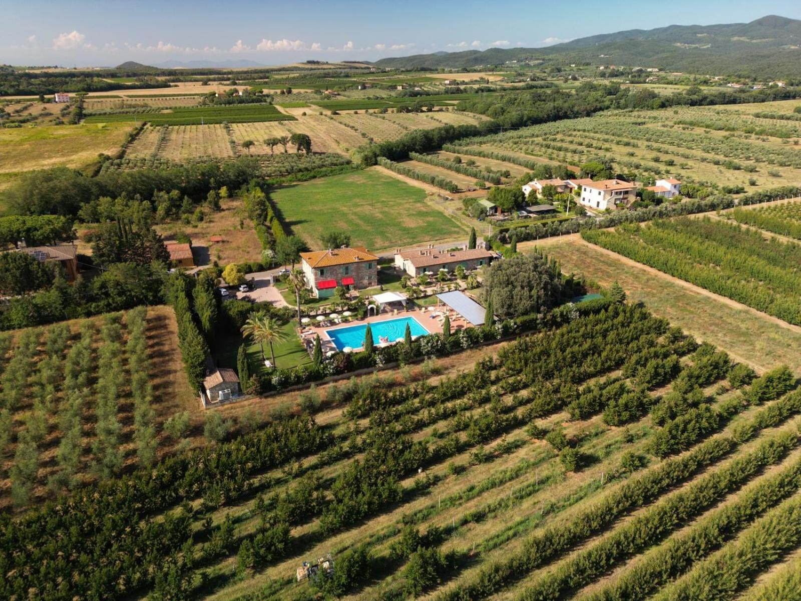 Podere Gli Olmi Cecina  Exterior photo